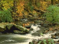 /album/fotogaleria-madre-tierra-/images-3-jpg/